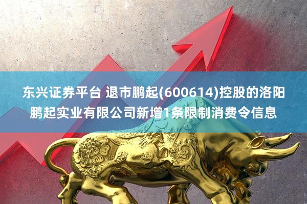 东兴证券平台 退市鹏起(600614)控股的洛阳鹏起实业有限公司新增1条限制消费令信息