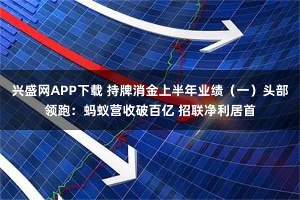 兴盛网APP下载 持牌消金上半年业绩（一）头部领跑：蚂蚁营收破百亿 招联净利居首